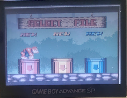 Donkey Kong 5 A Journey Over Time and Space Video Game Boy Color GBC