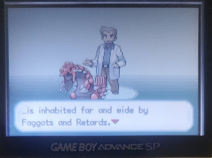 Pokemon Sako GBA ROM Hack Video Game Custom Gameboy Advance