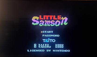Little Samson NES Video Game Nintendo Entertainment System 1992