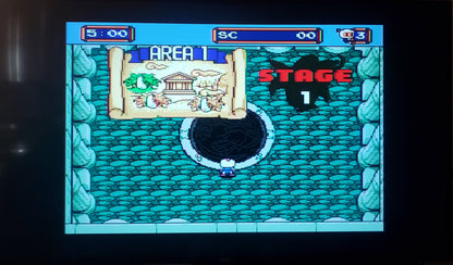 Mega Bomberman Sega Genesis Mega Drive Video Game Cartridge 1994