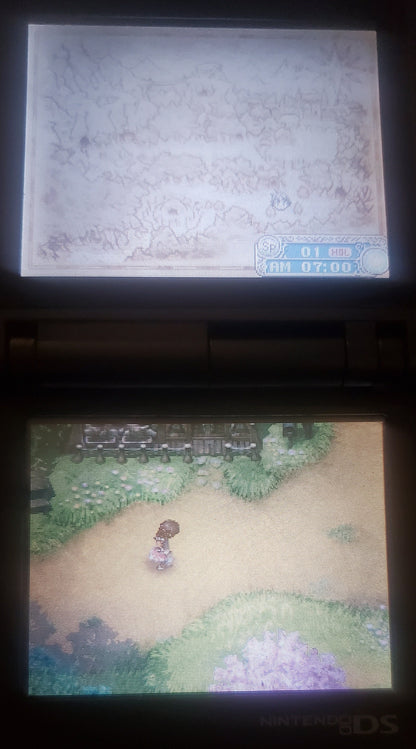 Rune Factory A Fantasy Harvest Moon NDS Video Game Nintendo DS 2006