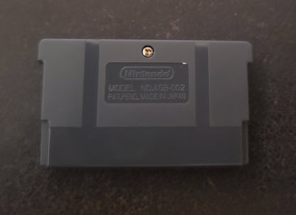 Pokemon Silver Rival GBA ROM Hack Video Game Boy Advance