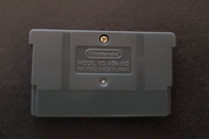 Pokemon Namless GBA Video Game Boy Advance Custom ROM Hack