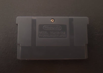 Pokemon Girls Hunter 1 GBA Pokemon ROM Hack Video Game Boy Advance