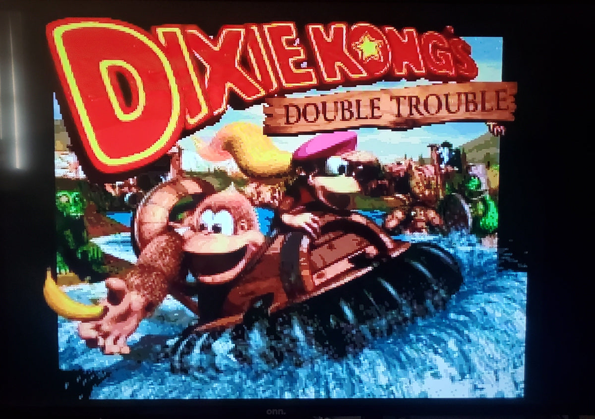 Donkey Kong Country 3 DKC 3 SNES Video Game Super Nintendo 1996