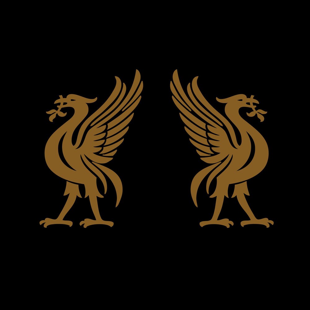Joey Cape - Liverbirds Music CD