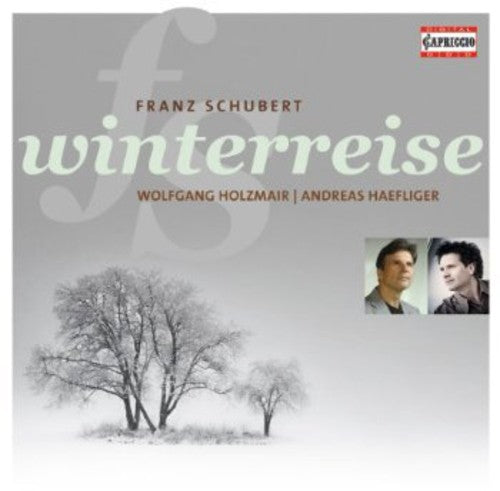 Wolfgang Holzmair - Winterreise Op 89 D 911 [CD]