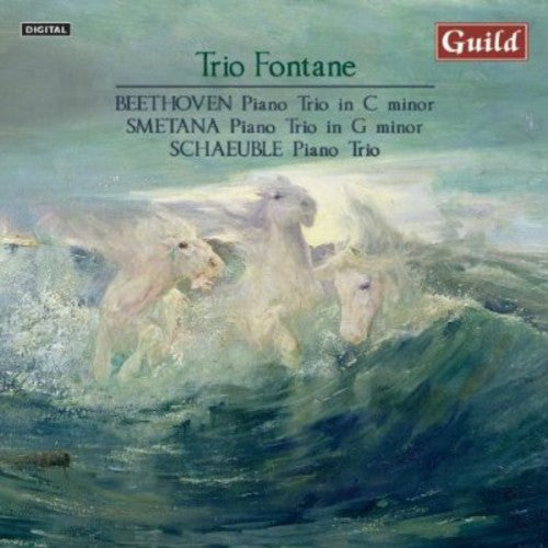 Beethoven / Trio Fontane / Smetana - Piano Trio in C minor Op 1 Music CD