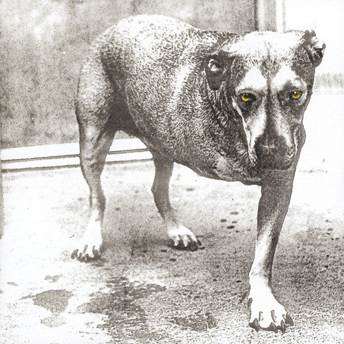 Alice In Chains - Alice in Chains [CD] [New]