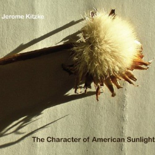 Bradley Lubman - Character of American Sunlight [CD]