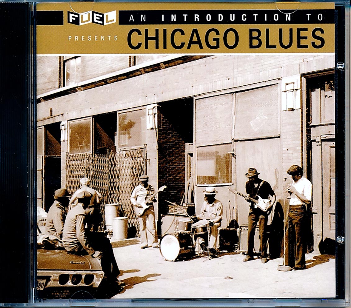 JB Lenoir, Elmore James, Muddy Waters, Big Joe Williams, Etc. - An Introduction To Chicago Blues (remastered) (24-bit mastering) [New] [New CD]