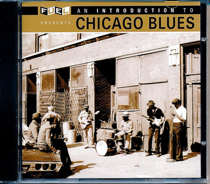 JB Lenoir, Elmore James, Muddy Waters, Big Joe Williams, Etc. - An Introduction To Chicago Blues (remastered) (24-bit mastering) [New CD]