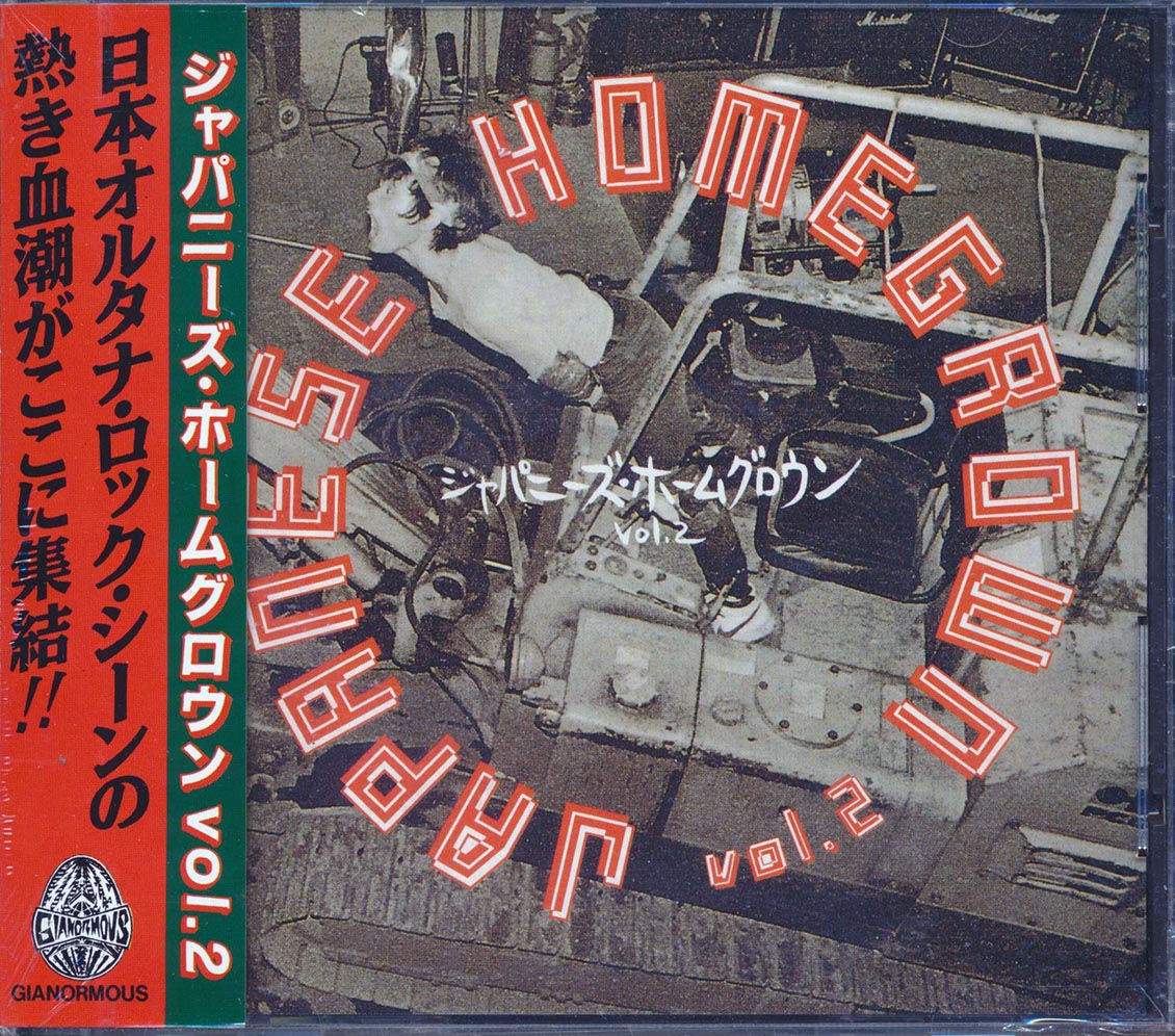Nunchaku, Noiseramones, Pugs, Jasons, Super Junky Monkey, Etc. - Japanese Homegrown Volume 2 (incl. large booklet) [New] [New CD]