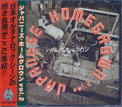 Nunchaku, Noiseramones, Pugs, Jasons, Super Junky Monkey, Etc. - Japanese Homegrown Volume 2 (incl. large booklet) [New CD]