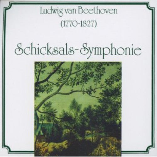 Radio-Symphonieorchester Ljubljana - Schicksal Symphony Music CD