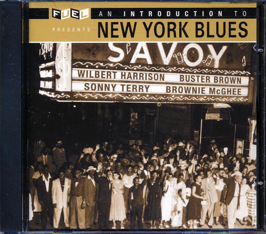 Buster Brown, Billy Lewis, Titus Tee Turner, Etc. - An Introduction To New York Blues [New CD]