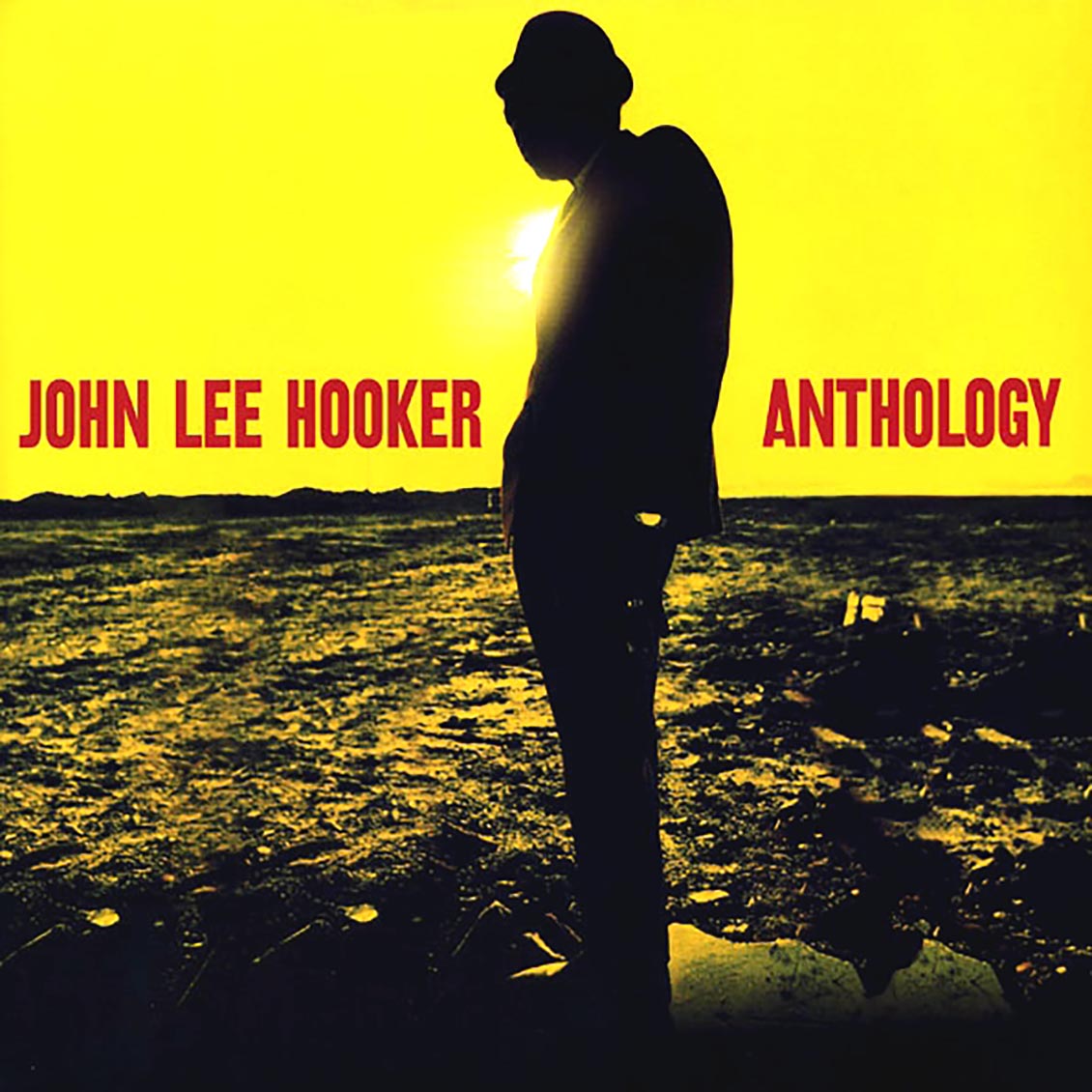John Lee Hooker - Anthology (2xLP) (180g) [New Vinyl Record LP]