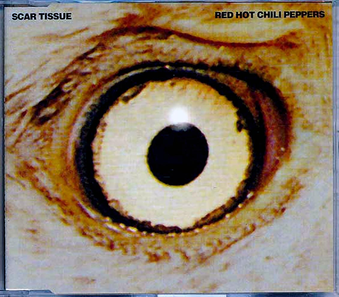 Red Hot Chili Peppers - Scar Tissue [New CD]