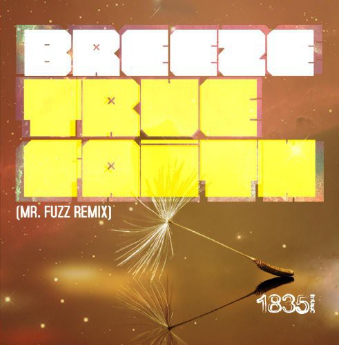 Breeze - True Faith (MR Fuzz Remix) Music CD