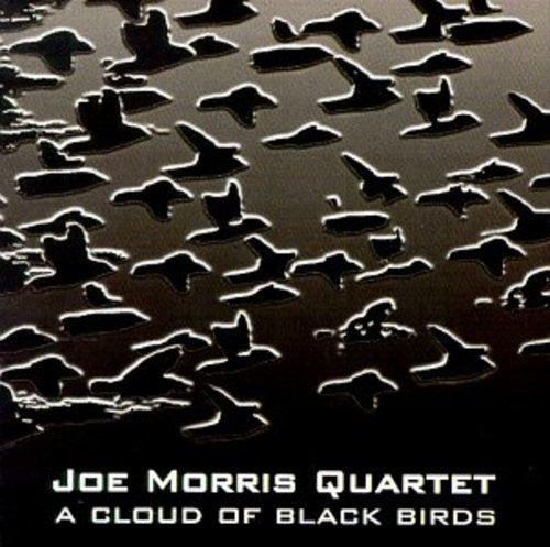 Joe Morris Quartet - A Cloud Of Black Birds Music CD