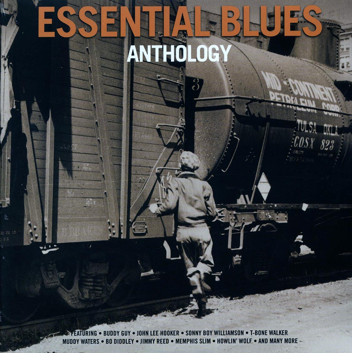 Muddy Waters, Memphis Slim, John Lee Hooker, Etc. - Essential Blues Anthology (2xLP) (180g) [New Vinyl Record LP]