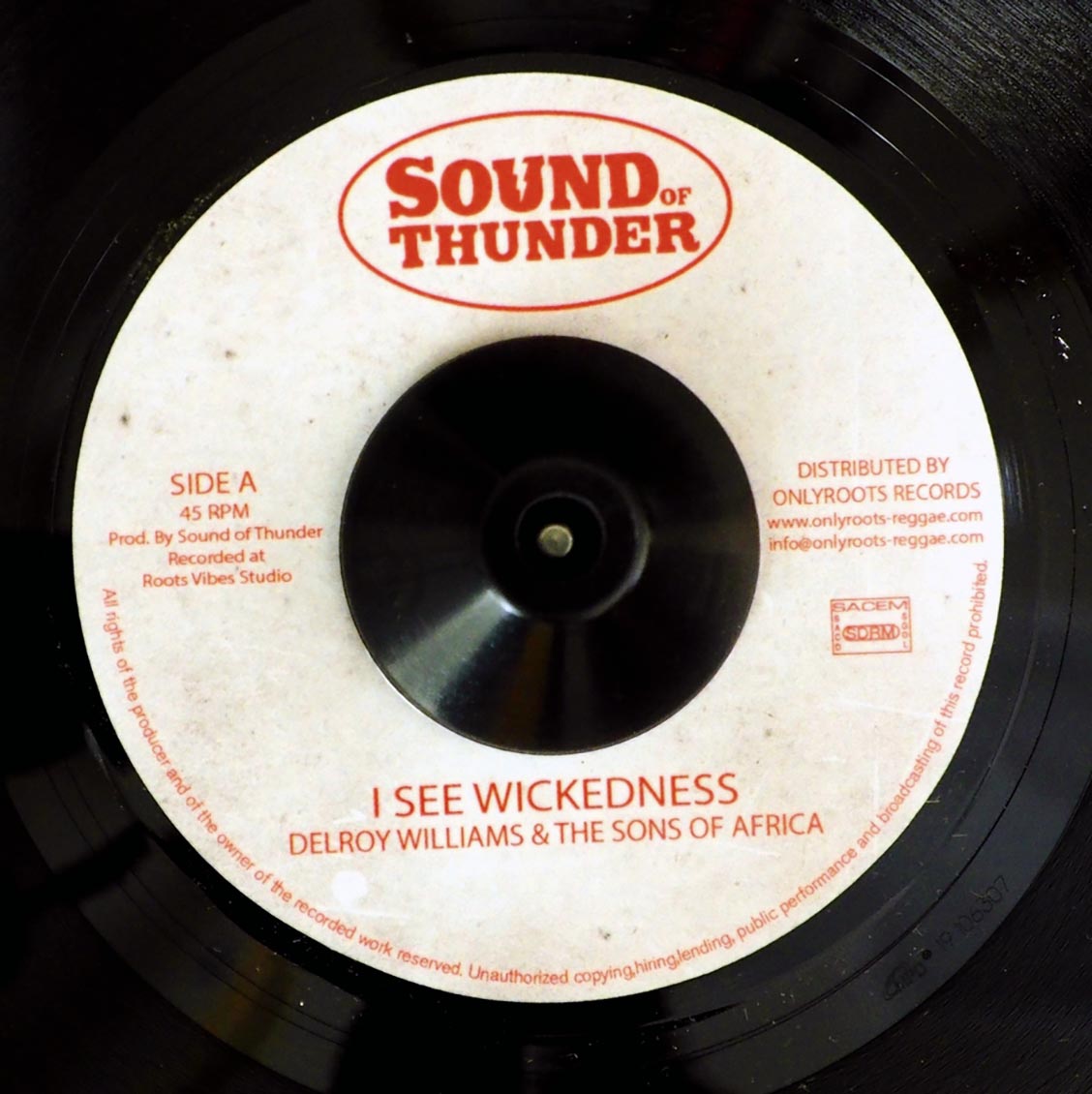 Delroy Williams & The Sons Of Africa - I See Wickedness  /  Mr. Haze & The Sons Of Africa - Wisest Dub [New Vinyl Record 7" Single]