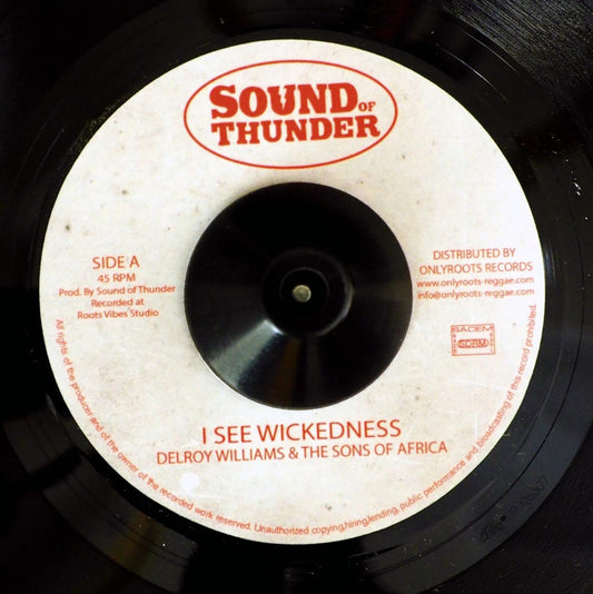 Delroy Williams & The Sons Of Africa - I See Wickedness  /  Mr. Haze & The Sons Of Africa - Wisest Dub [New Vinyl Record 7" Single]