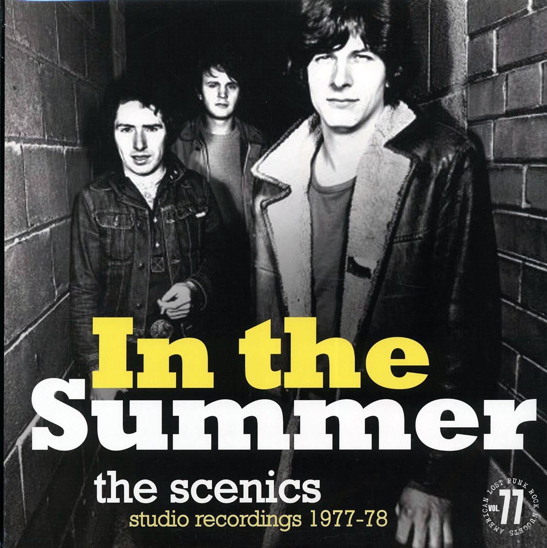 The Scenics - In The Summer: Studio Recordings 1977-78 [New Vinyl LP]