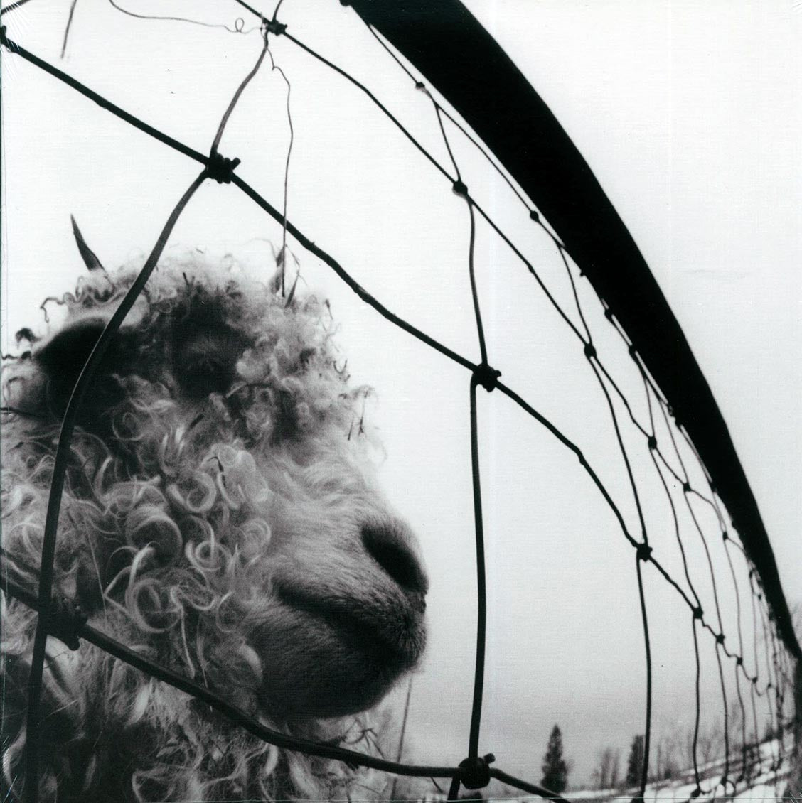 Pearl Jam - Vs. (180g) (remastered) [New Vinyl Record LP]