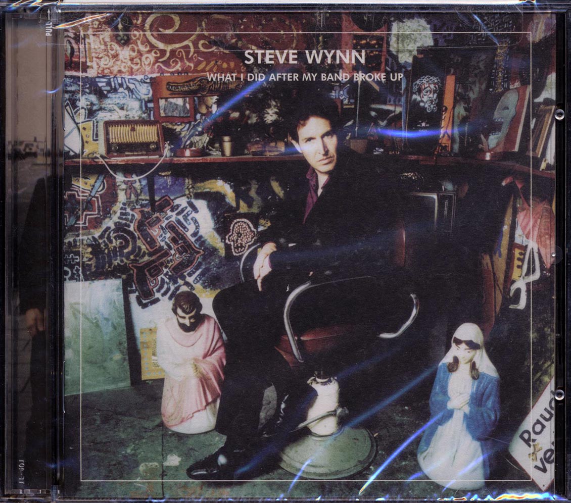 Steve Wynn - What I Did After My Band Broke Up: Best Of 1990-2004: Visitation Rights [New CD]