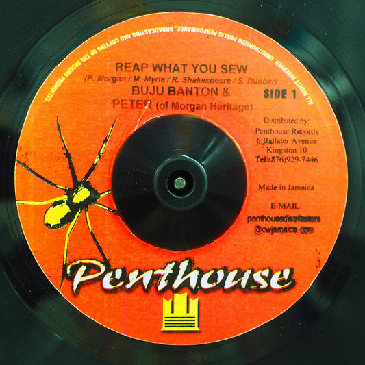 Buju Banton, Morgan Heritage - Reap What You Sew  /  Version [New Vinyl Record 7" Single]