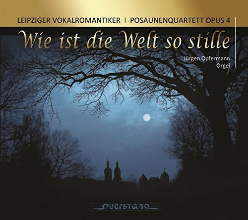 Leipziger Vokalromantiker - Wie Ist Die Welt So Stille [Digipak]