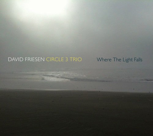 David Friesen & Circle 3 Trio - Where the Light Falls [CD]