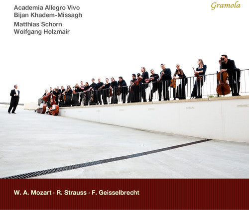 Mozart / Strauss - Orchl Works Music CD