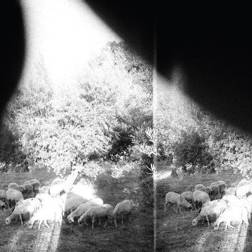 Godspeed You! Black Emperor - Asunder Sweet & Other Distress [CD] [New CD]