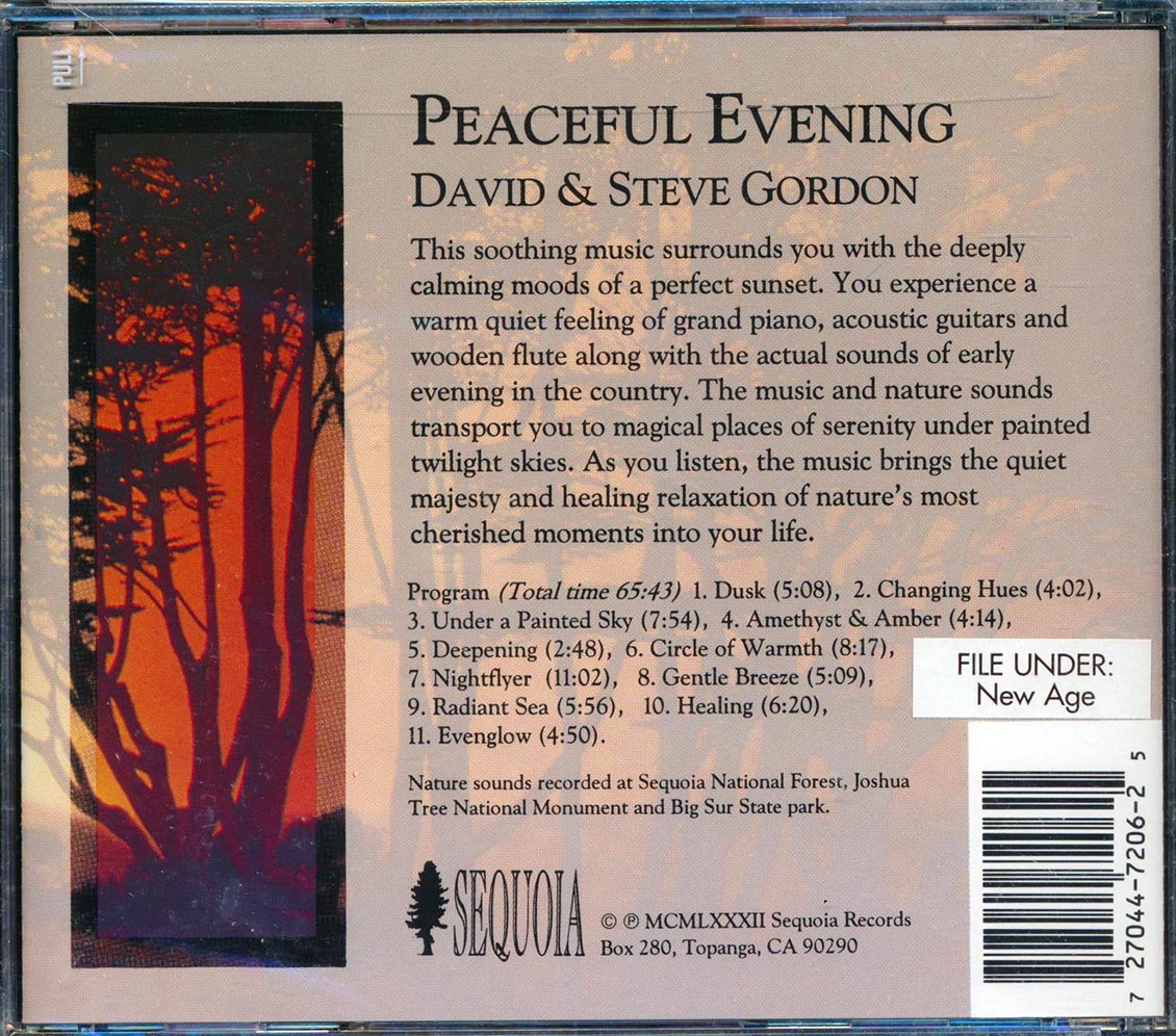 David & Steve Gordon - Peaceful Evening: Piano, Acoustic Guitar, Wooden Flute & Sounds Of Nature [New CD]
