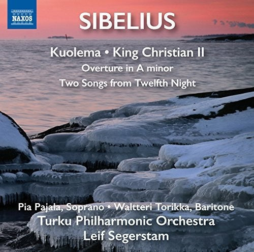 Sibelius / Pajala / Turku Philharmonic Orchestra - Orchestral Works [CD]
