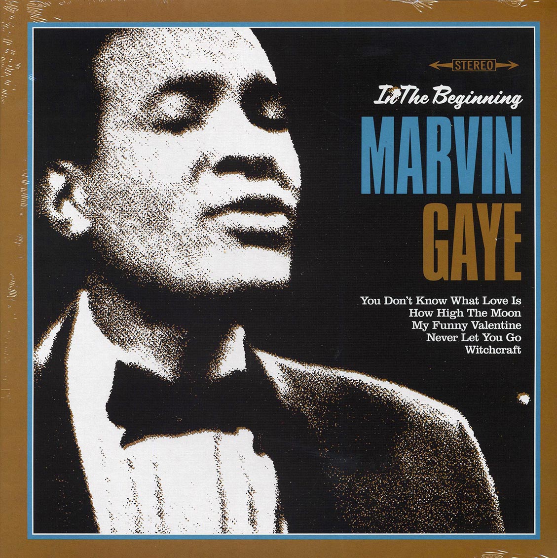 Marvin Gaye - In The Beginning [New Vinyl Record LP]