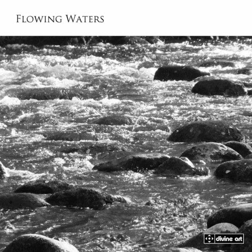 Whitlock / Honeybourne / Stokes / Meldrum - Flowing Waters Music CD