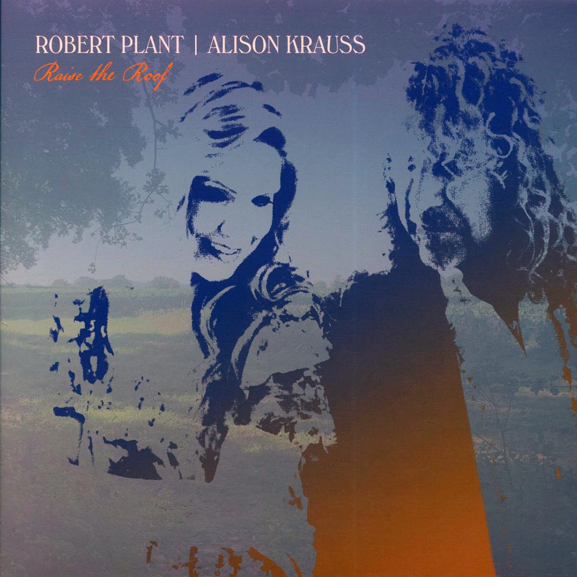 Robert Plant, Alison Krauss - Raise The Roof (RSD 2021) (ltd. ed.) (2xLP) (yellow vinyl) [New] [New Vinyl]