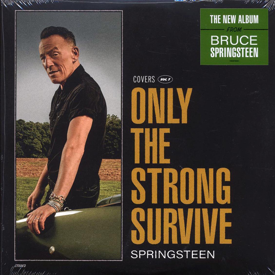 Bruce Springsteen - Only The Strong Survive (2xLP) [New Vinyl LP]