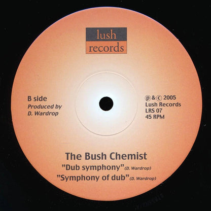 Kenny Knots, Bush Chemists - Up There;  Up There Dub  /  Bush Chemists - Dub Symphony;  Symphony Of Dub [New Vinyl 10"]