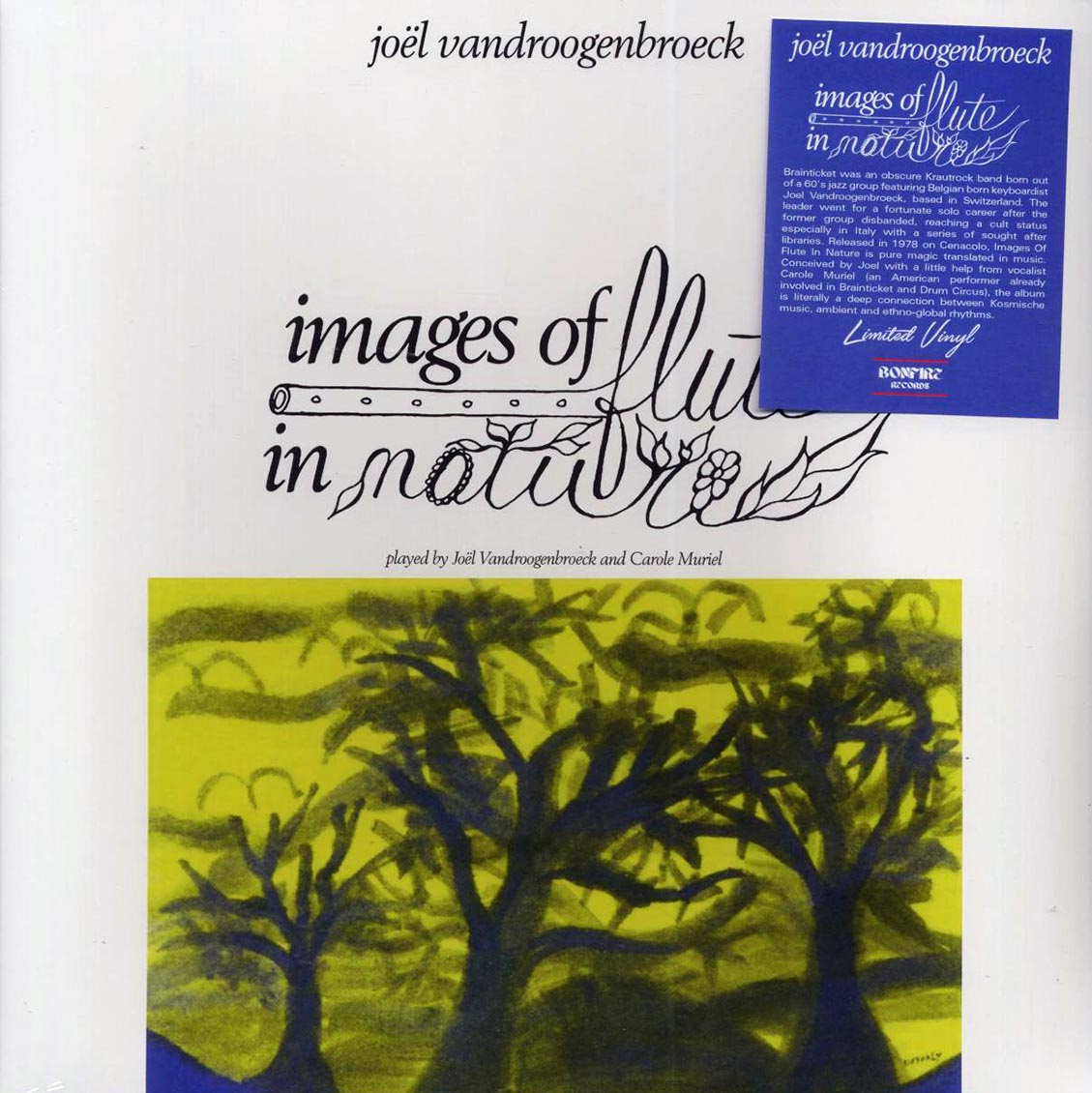 Joel Vandroogenbroeck - Images Of Flute In Nature [New Vinyl Record LP]