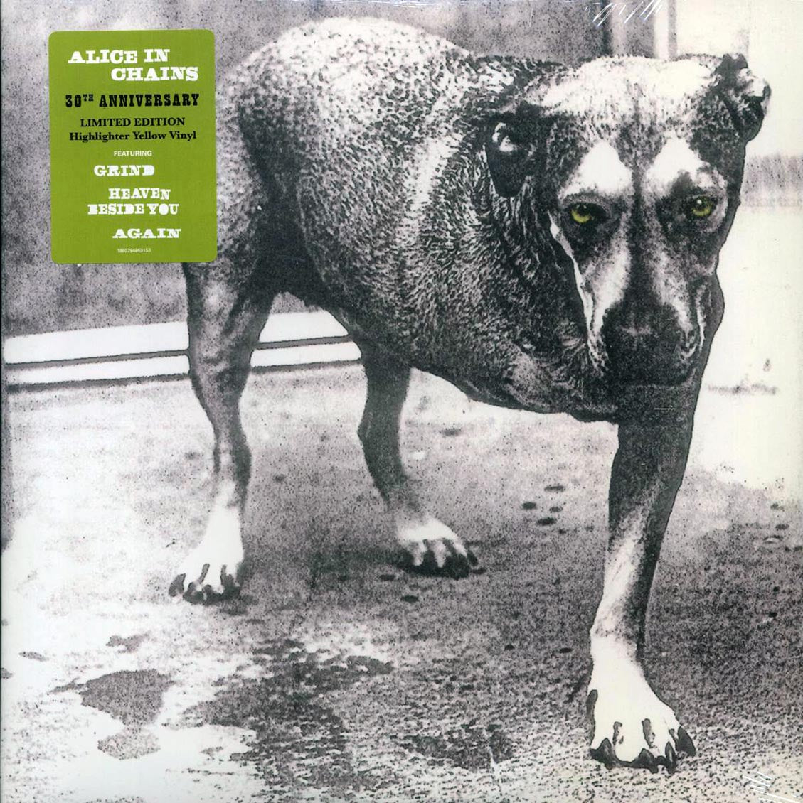 Alice In Chains - Alice In Chains (30th Anniv. Ed.) (ltd. ed.) (2xLP) (yellow vinyl) [New Vinyl Record LP]