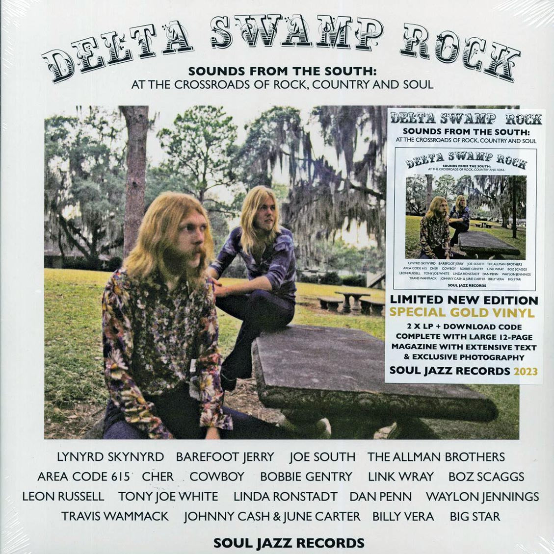 Lynyrd Skynyrd, Barefoot Jerry, The Allman Brothers, Link Wray, Dan Penn, Etc. - Delta Swamp Rock: Sounds From The South At The Crossroads Of Rock, Country And Soul (2xLP) [New Vinyl Record LP]