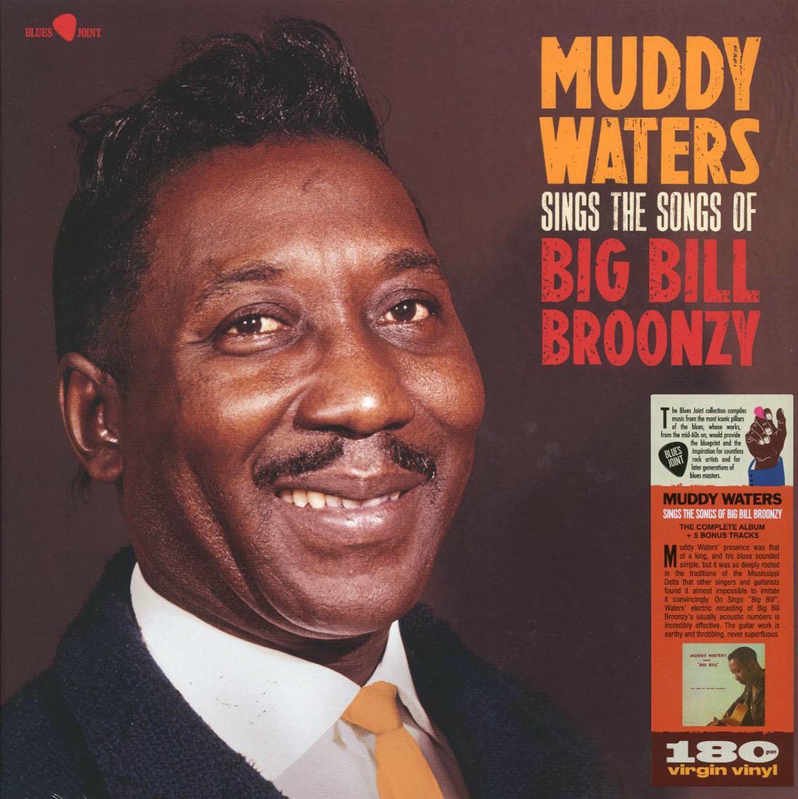 Muddy Waters - Sings The Songs Of Big Bill Broonzy (+5 bonus tracks) (ltd. ed.) (180g) [New Vinyl Record LP]