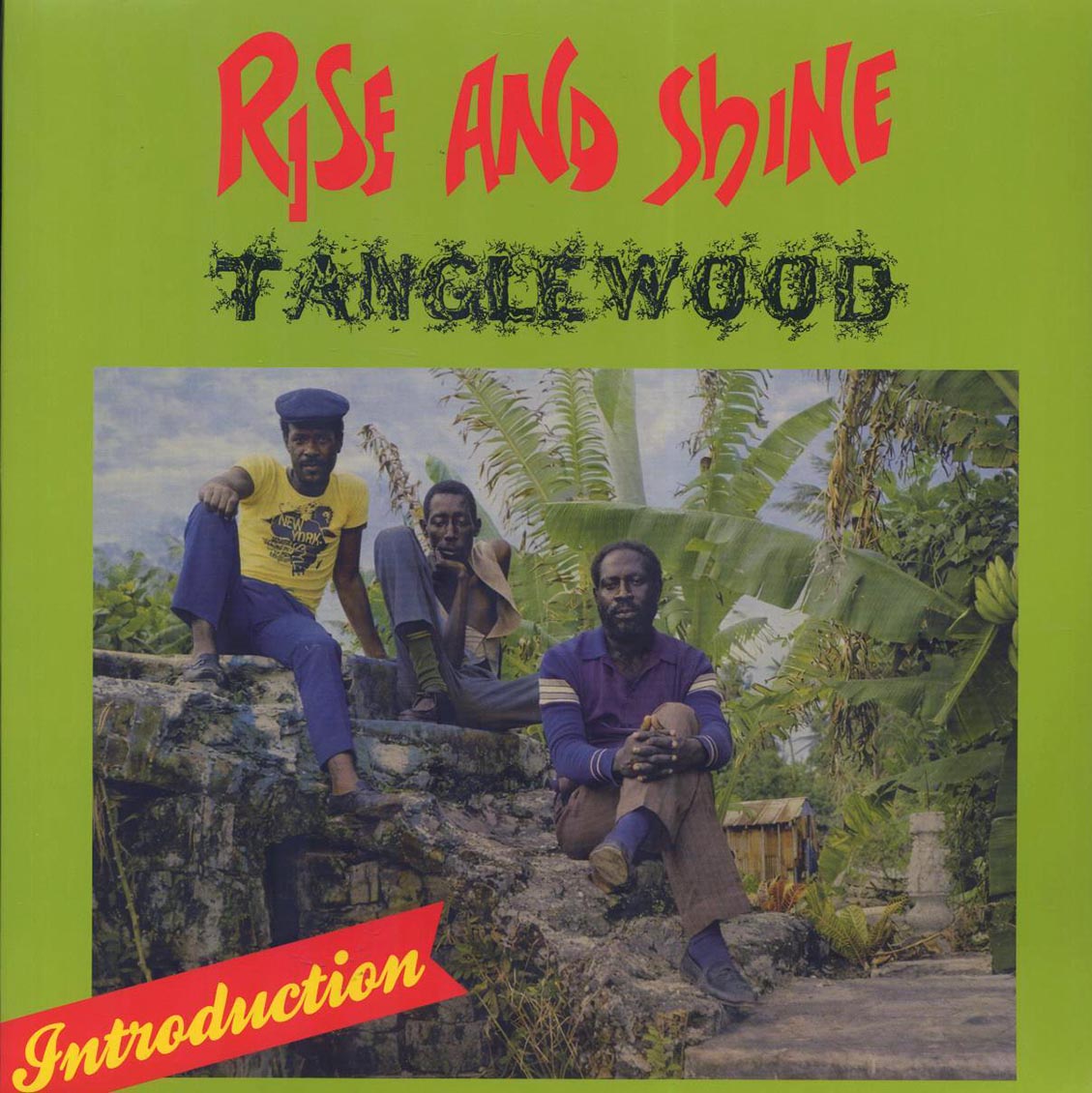 Tanglewood - Rise And Shine [New Vinyl Record LP]
