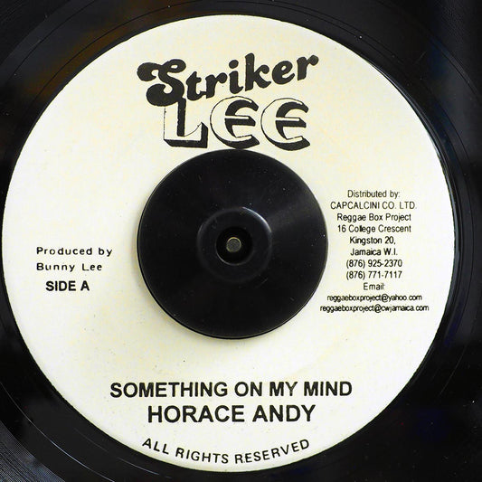 Horace Andy - Something On My Mind  /  The Aggrovators - Version (rhythm: "Horace Andy - Something On My Mind") [New Vinyl Record 7" Single]