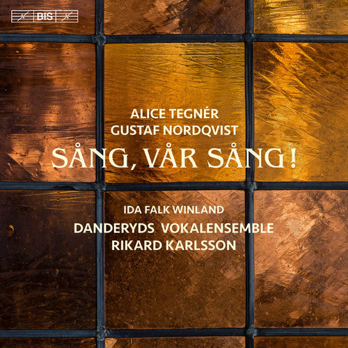 G Nordqvist / Karlsson,Rikard / Olund,Anders - Tegner & Nordqvist: Song Our Song [CD]