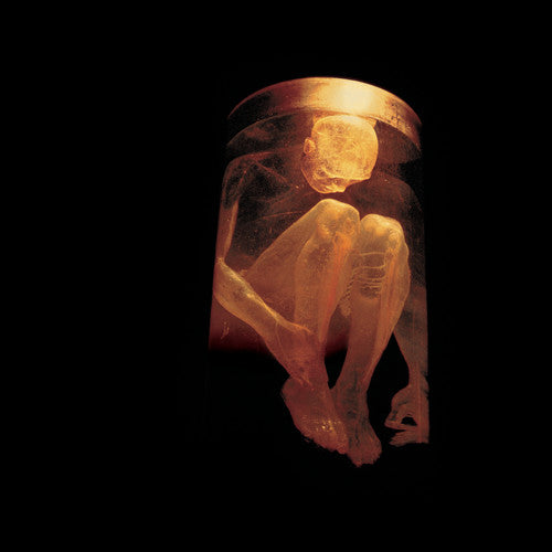 Alice In Chains - Nothing Safe: Best of [CD] [New]